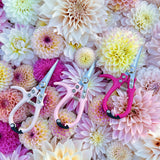 Floral Snips- Peony Pink