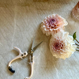 Floral Snips- Café au Lait