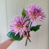 Wyn’s Mauve Mist