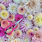 Floral Snips- Peony Pink