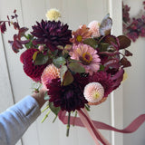 Hollyhill Black Widow