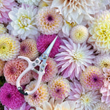 Floral Snips- Café au Lait