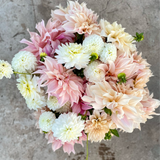 Bridal Bundle: 6 Tubers