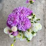 Ferncliff Inspiration