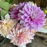 Ferncliff Inspiration